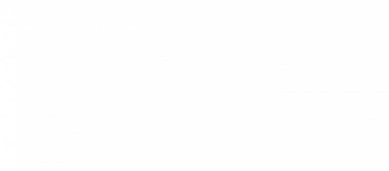 Main coordination problems that compromise the efficiency and integrity of the U.S. – Mexico border crossing – according to the TEXAS TRANSPORTATION INSTITUTE